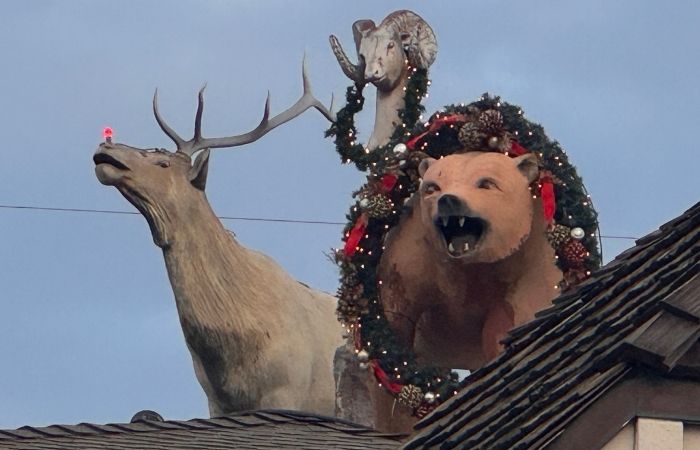 Hip-District-Laguna-Beach-1