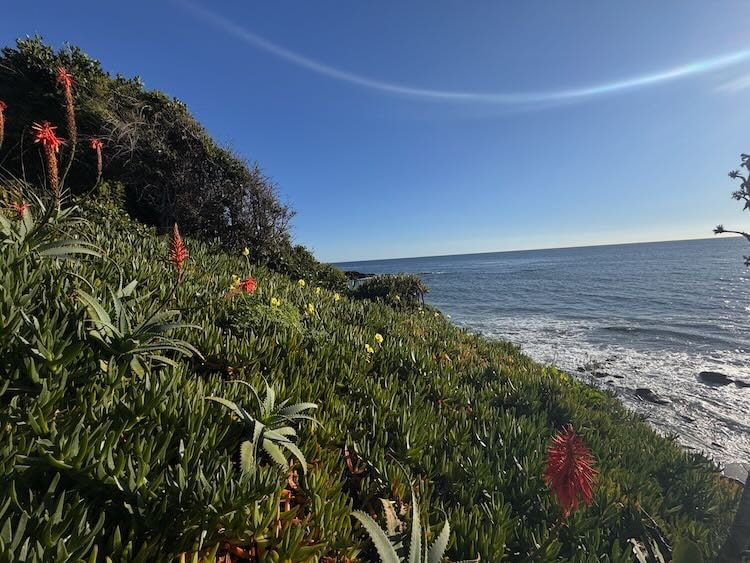 Agate-Street-Beach-Laguna-Beach-2