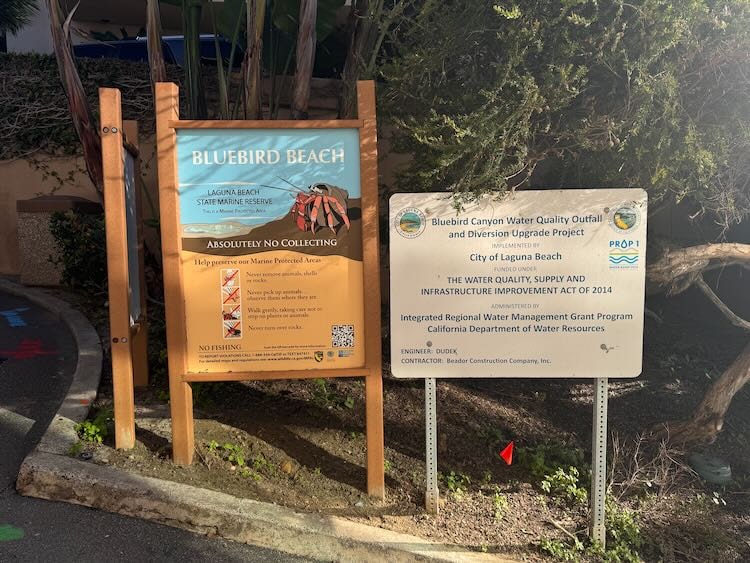 Bluebird-Street-Beach-Laguna-Beach-2-min