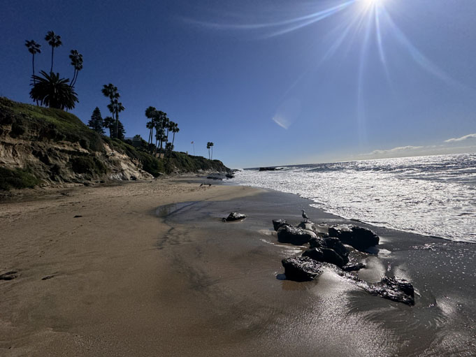 Divers-Cove-Moving-To-Laguna-Beach-10