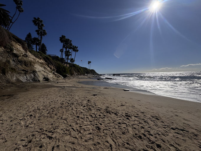 Divers-Cove-Moving-To-Laguna-Beach-11