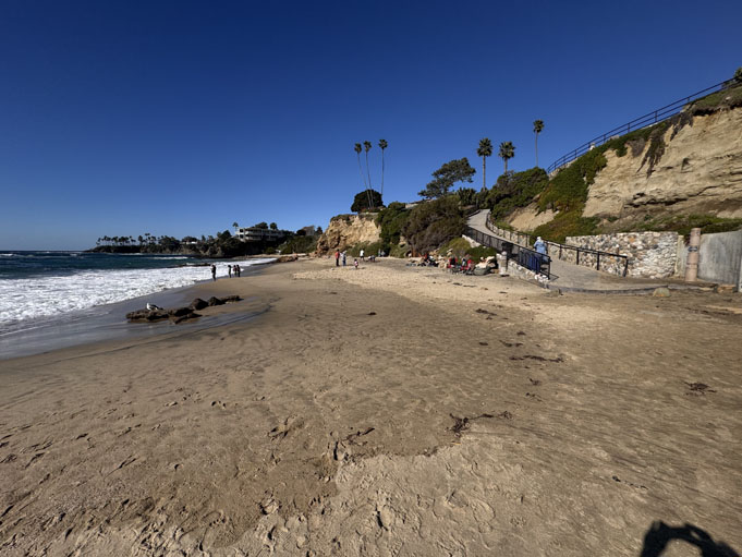 Divers-Cove-Moving-To-Laguna-Beach-12