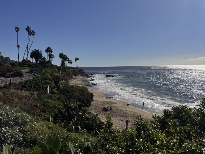 Divers-Cove-Moving-To-Laguna-Beach-13