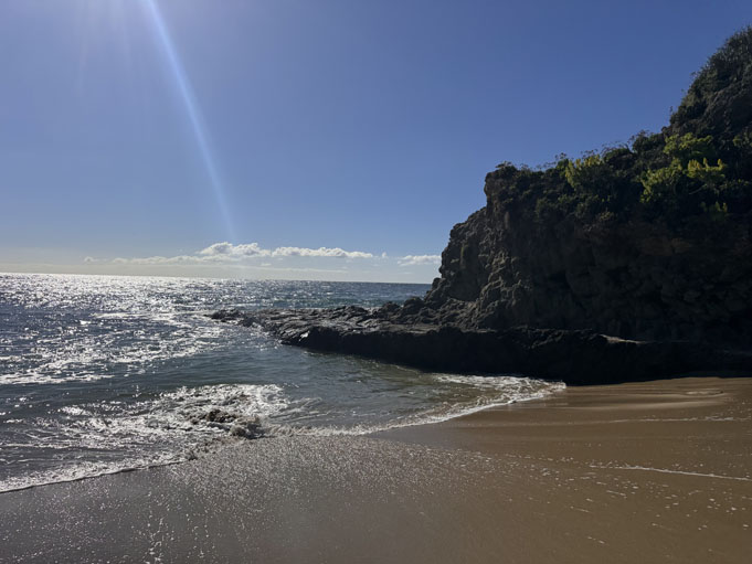 Divers-Cove-Moving-To-Laguna-Beach-3