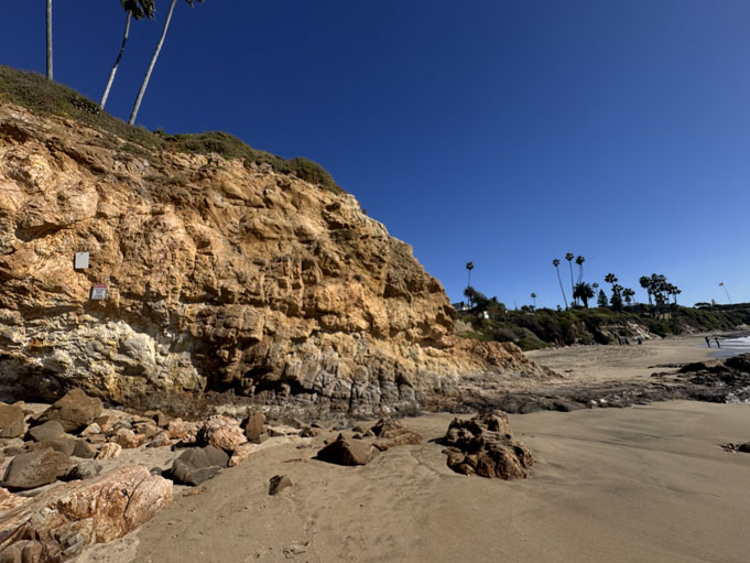 Divers-Cove-Moving-To-Laguna-Beach-8