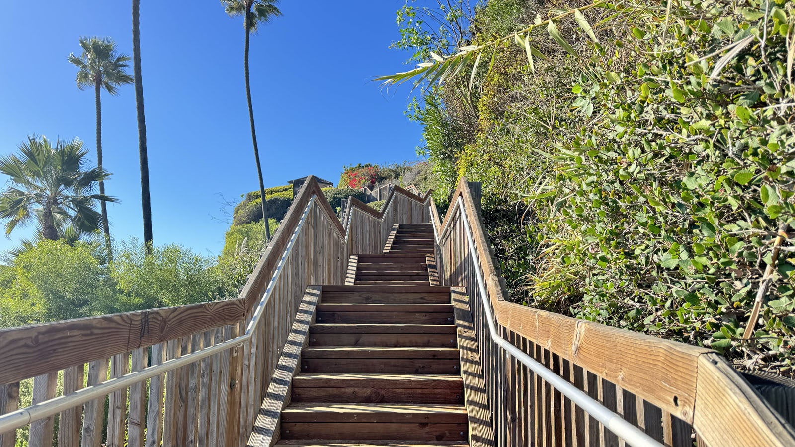 Three-Arch-Bay-Gallery-3-min