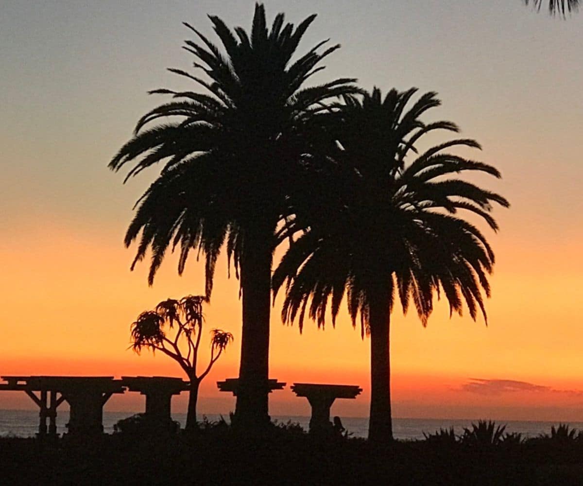 Goff Cove Beach 6 Beautiful sunset image of the palm trees above Goff Cove.