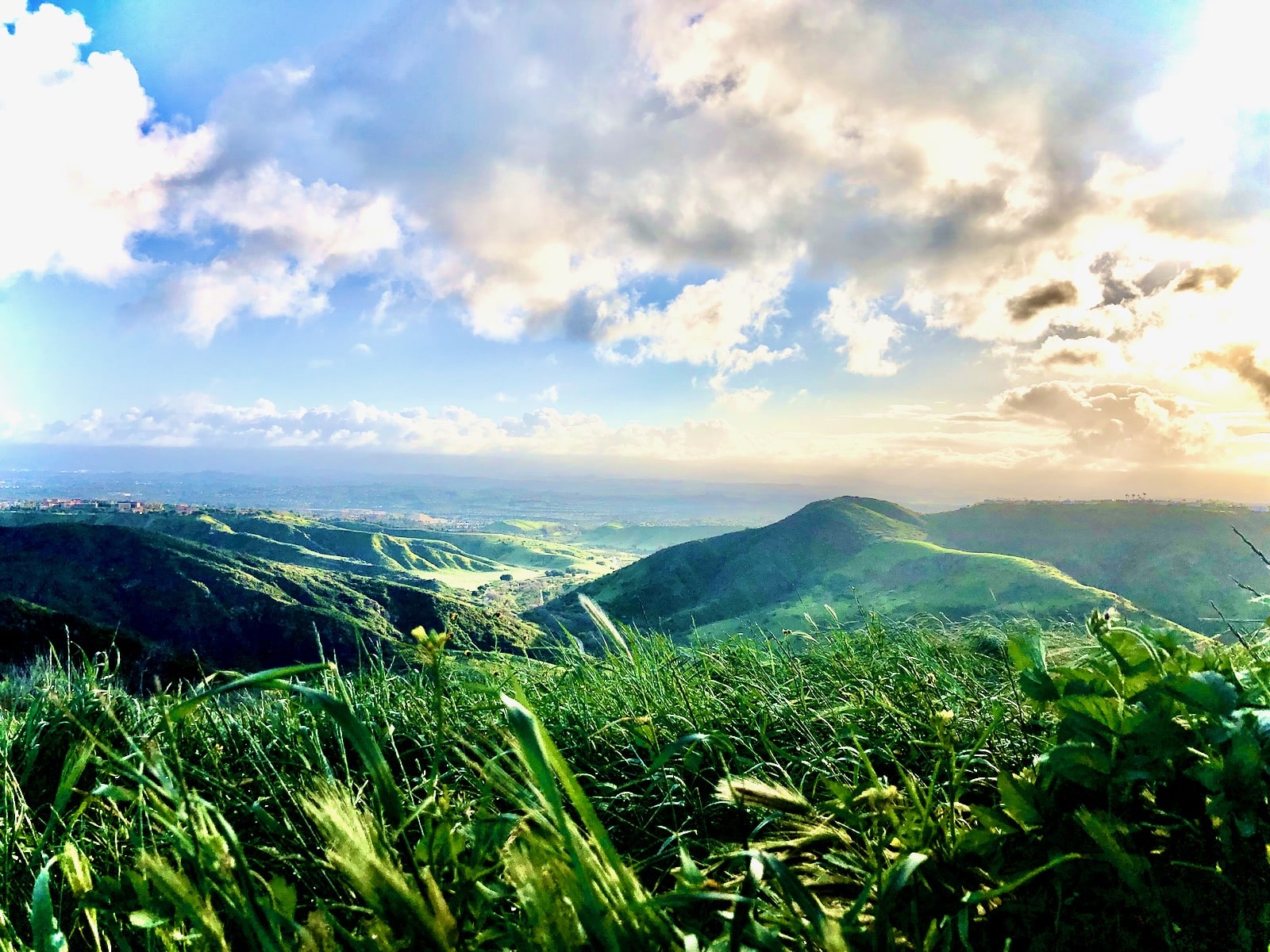 Laguna Beach cost of living housing and lifestyle overview