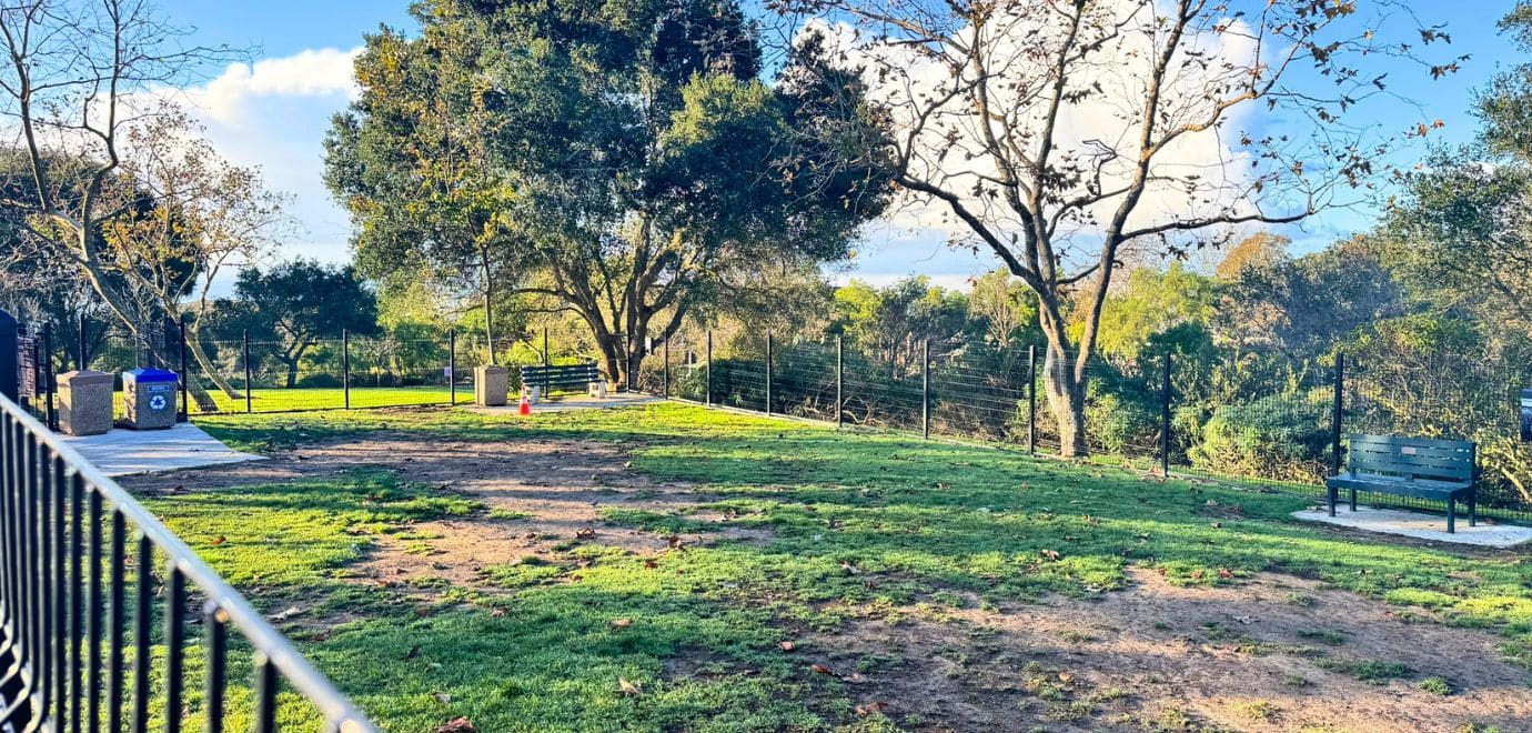 Dog Park At Moulton Meadows Park In Laguna Beach
