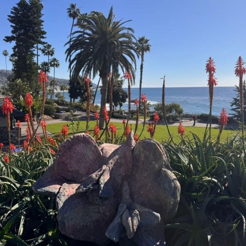 Laguna Beach's Heisler Park.